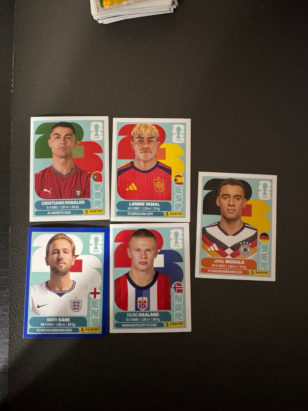 Panini World Cup Stickers